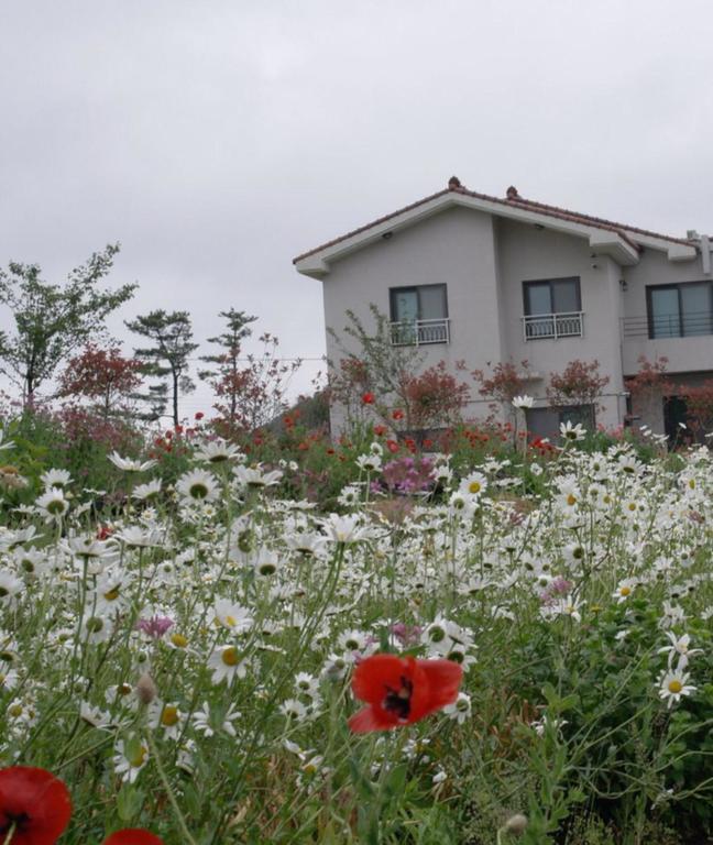 Vila Baghdad House Čedžu Exteriér fotografie